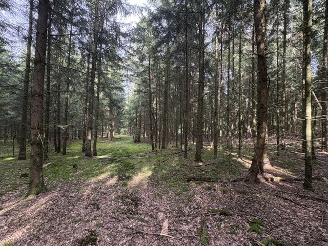 Wald