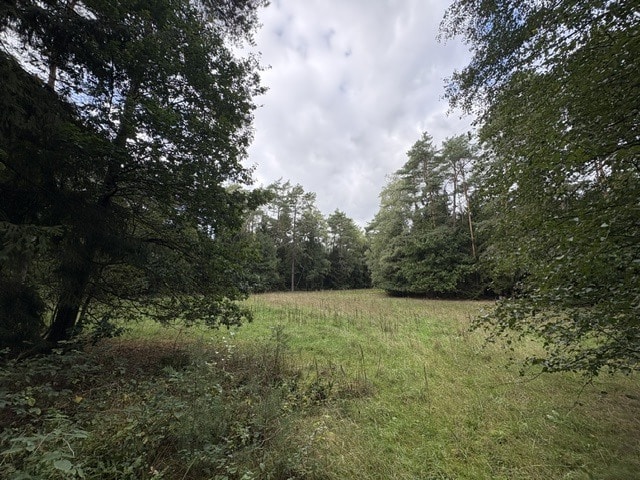 Ansicht