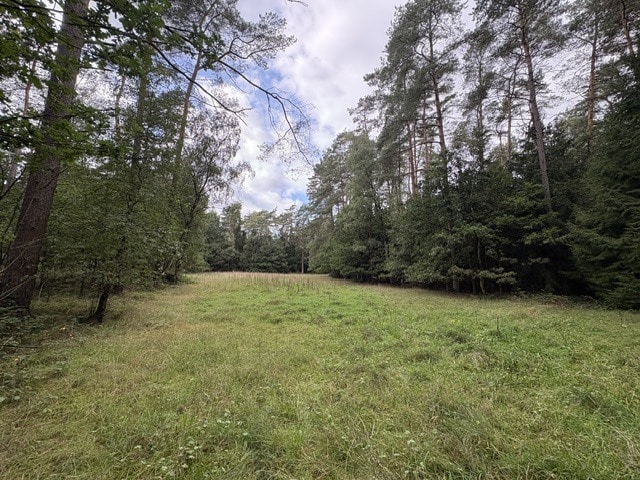 Ansicht